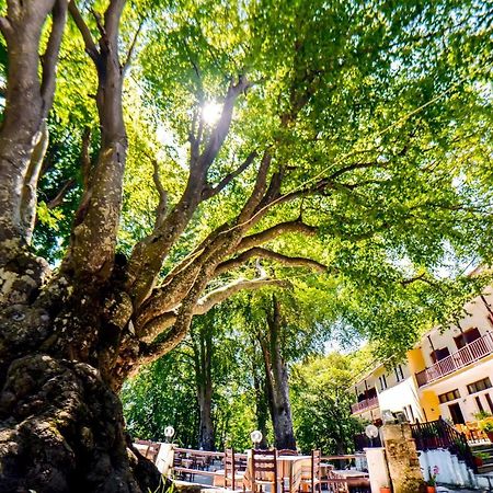 Hotel Hani Zisi Ханья Экстерьер фото