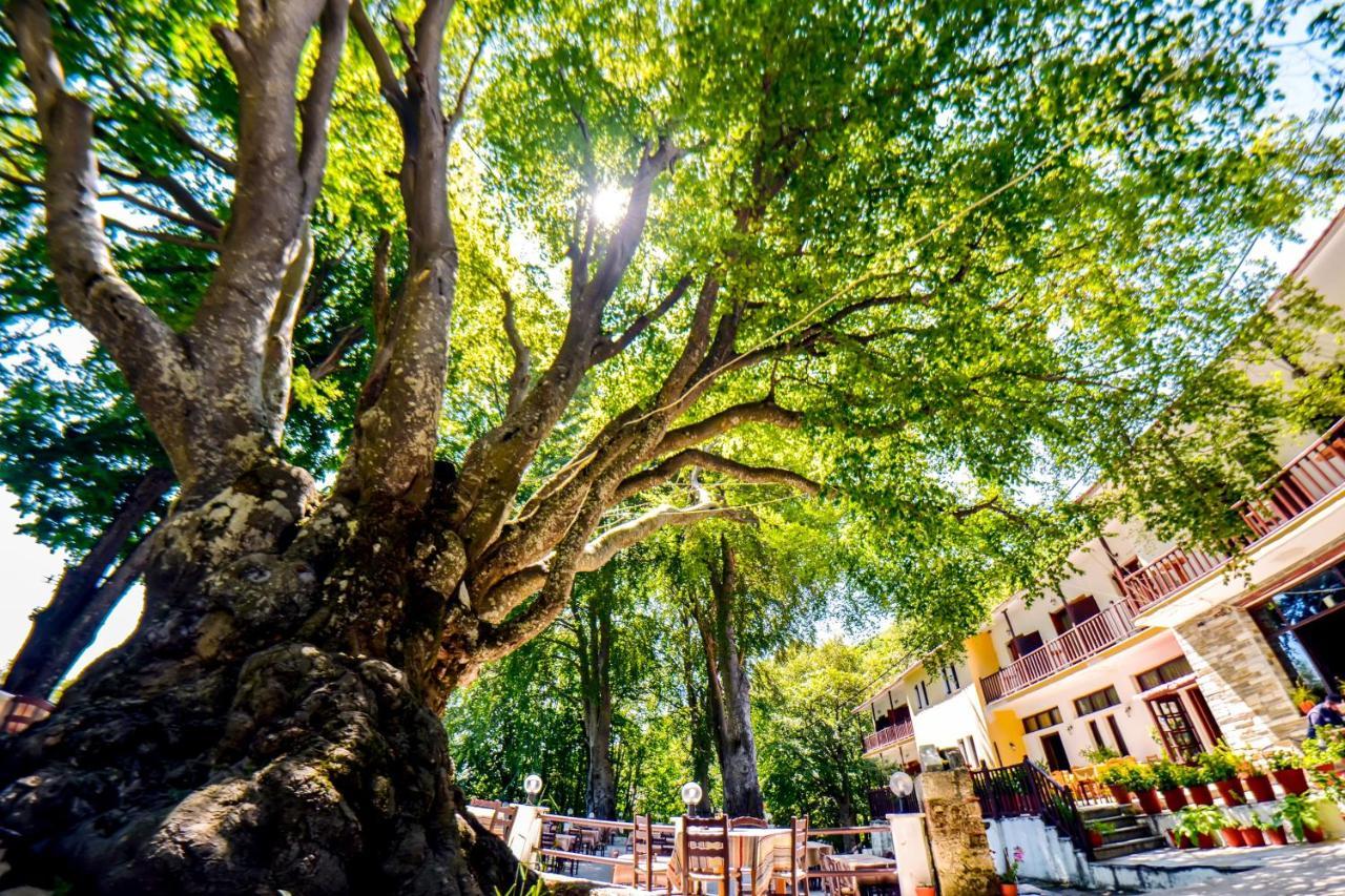 Hotel Hani Zisi Ханья Экстерьер фото